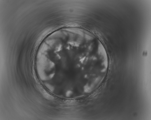 X0000116120145200912211701