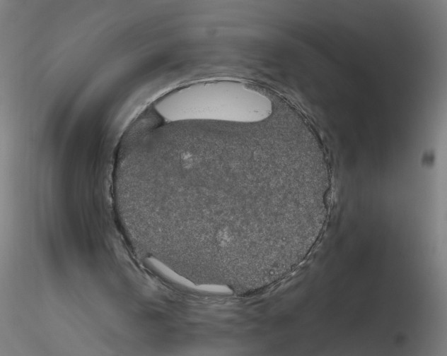 X0000116120146200912211701