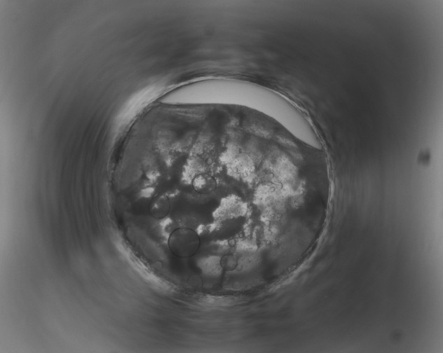 X0000116120149200912211701