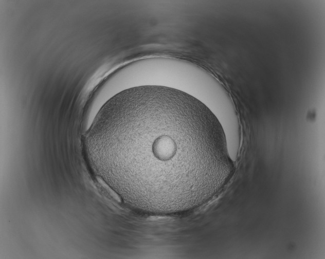 X0000116120150200912211701