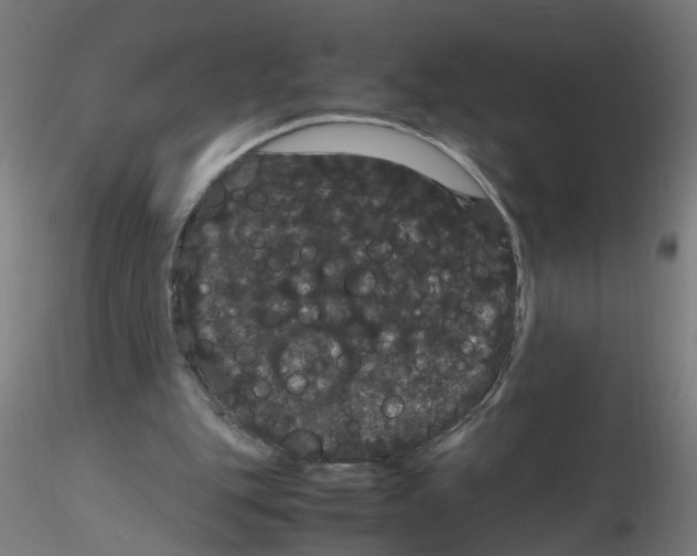 X0000116120151200912211701