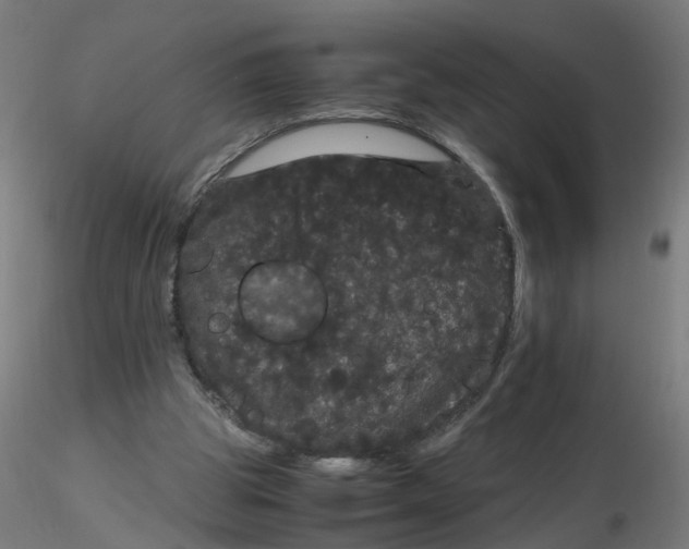X0000116120153200912211701