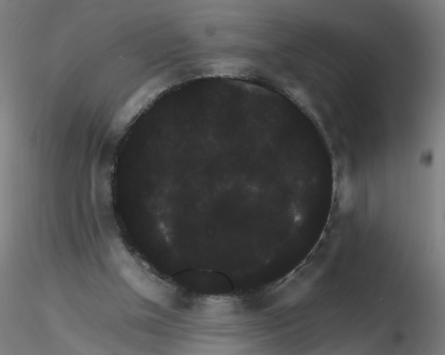 X0000116120154200912211701