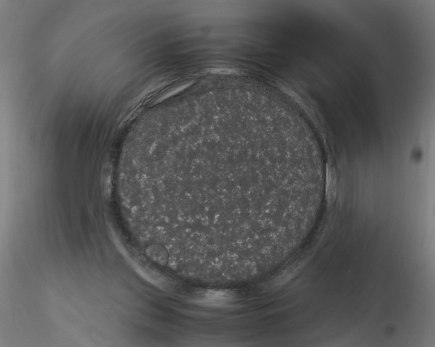 X0000116120157200912211701