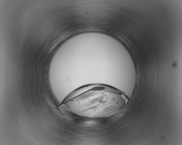 X0000116120158200912211701