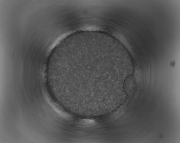 X0000116120159200912211701