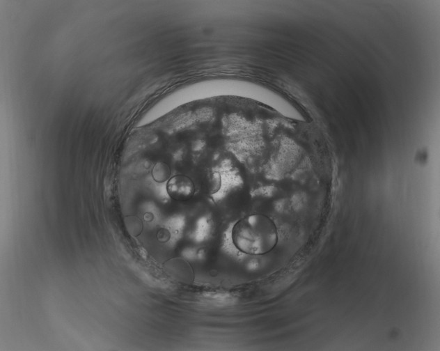 X0000116120161200912211701