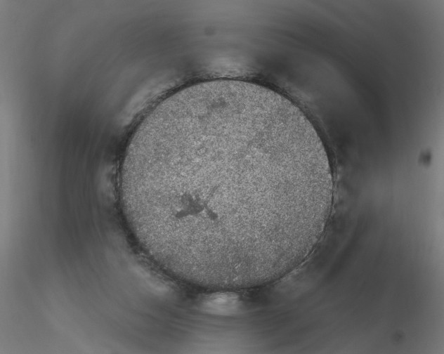X0000116120162200912211701