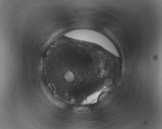 X0000116120163200912211701