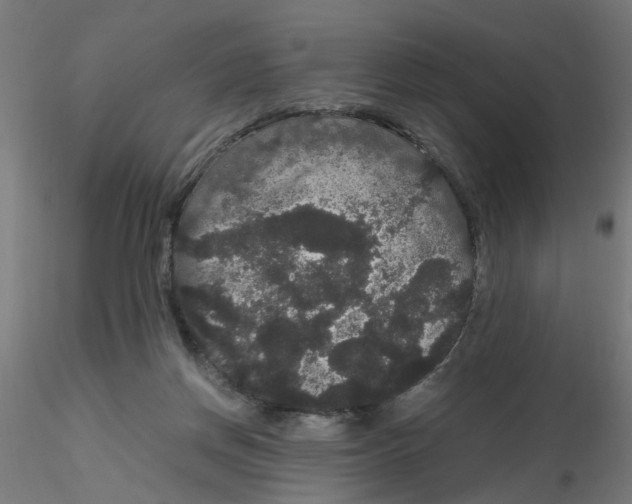 X0000116120166200912211701