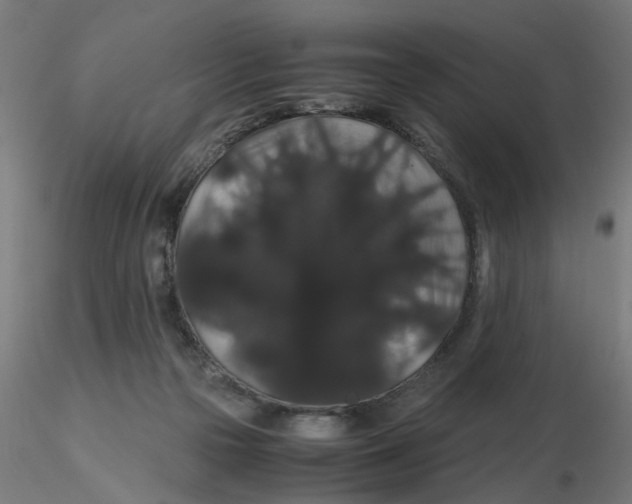 X0000116120169200912211701