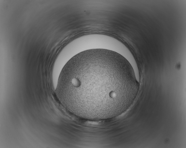 X0000116120170200912211701