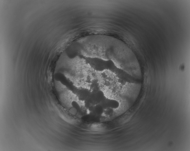 X0000116120173200912211701