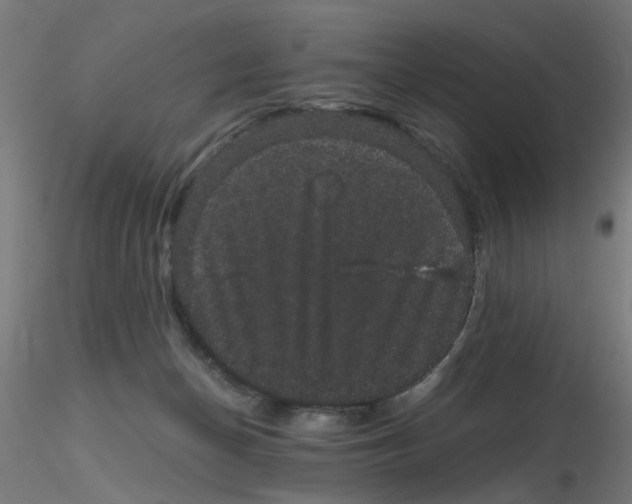 X0000116120174200912211701
