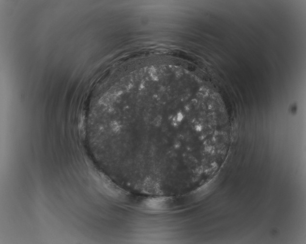 X0000116120178200912211701