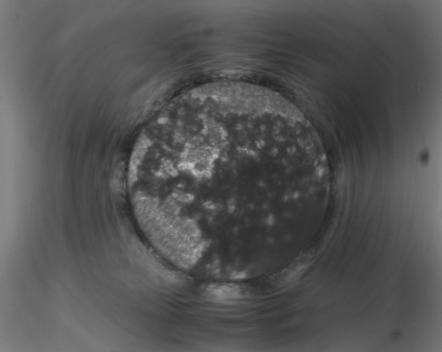 X0000116120181200912211701