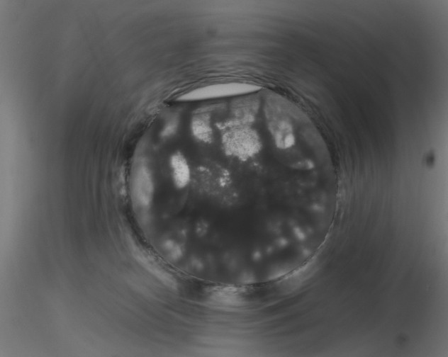 X0000116120182200912211701