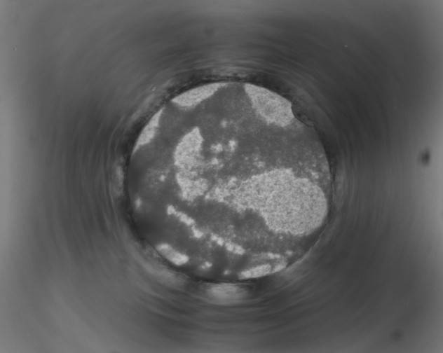 X0000116120183200912211701