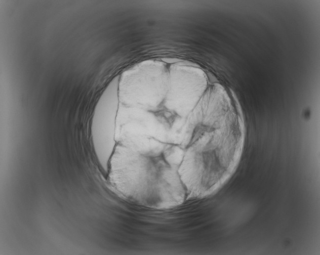 X0000116120185200912211701