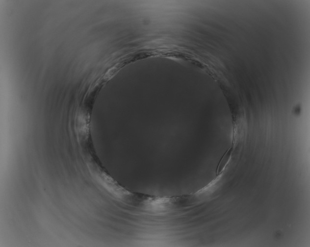 X0000116120186200912211701