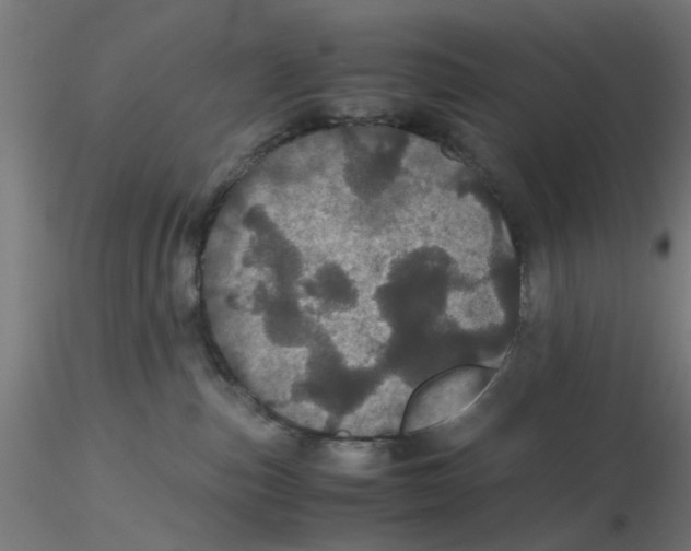 X0000116120187200912211701