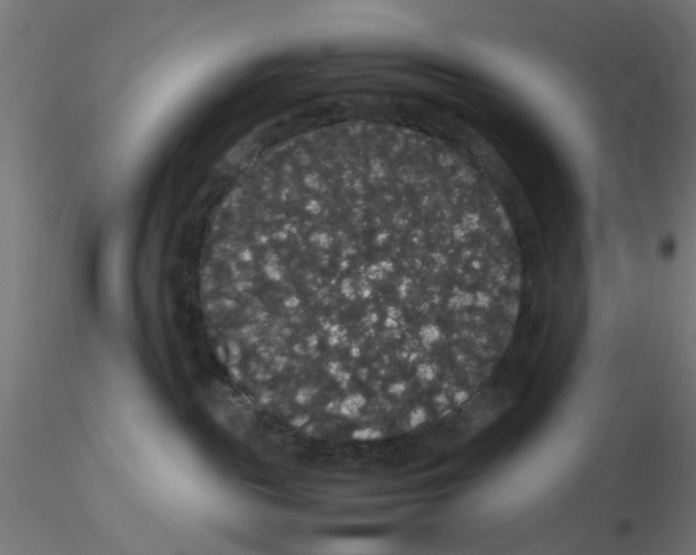 X0000116120189200912211701