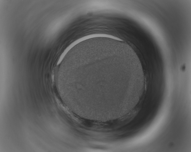 X0000116120190200912211701