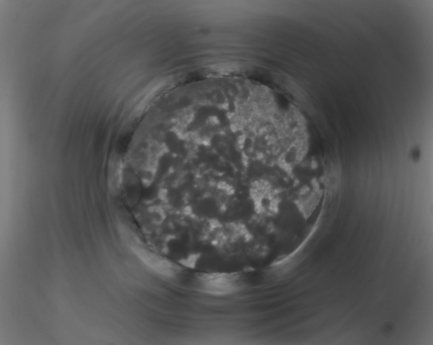 X0000116120191200912211701