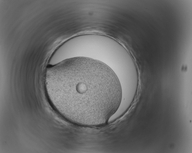 X0000116120193200912211701