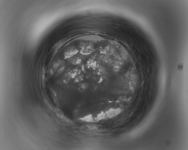 X0000116120194200912211701