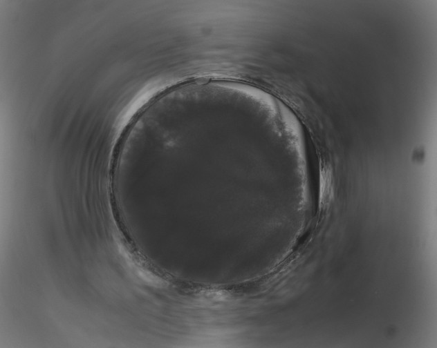 X0000116120195200912211701