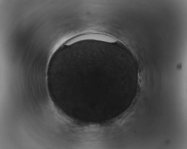 X0000116120196200912211701