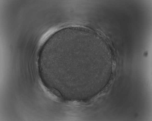 X0000116120197200912211701