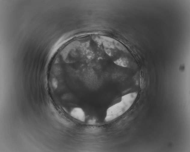 X0000116120198200912211701