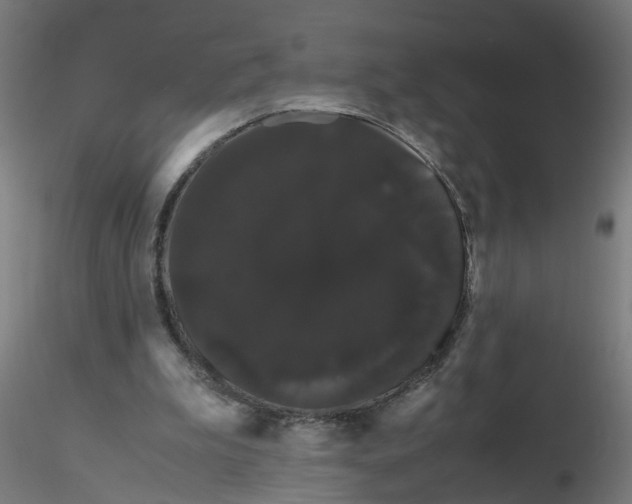 X0000116120199200912211701