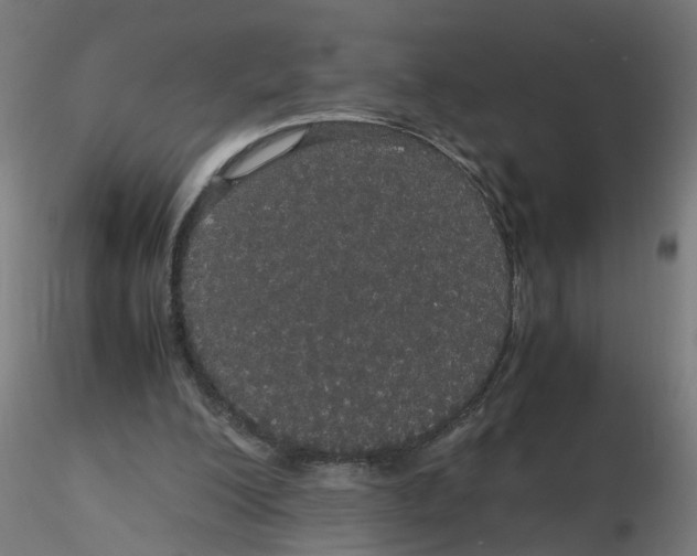 X0000116120200200912211701