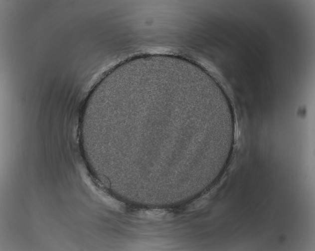 X0000116120201200912211701