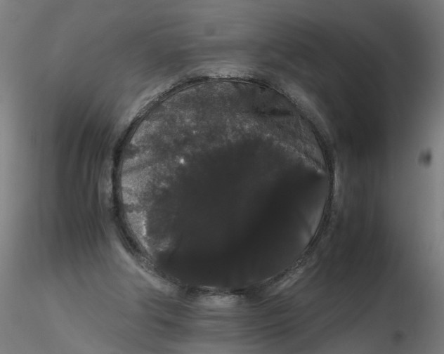 X0000116120202200912211701