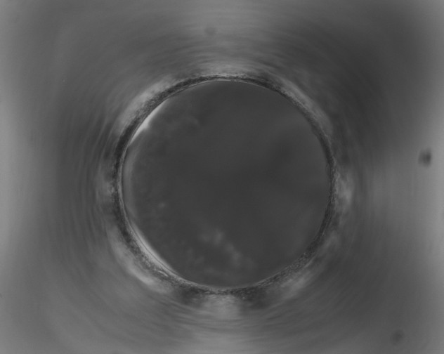 X0000116120203200912211701