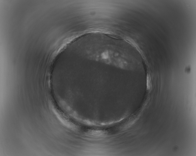 X0000116120205200912211701