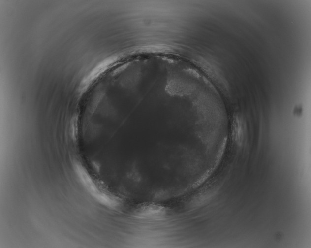 X0000116120206200912211701
