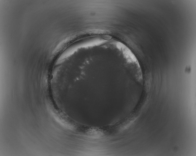 X0000116120207200912211701