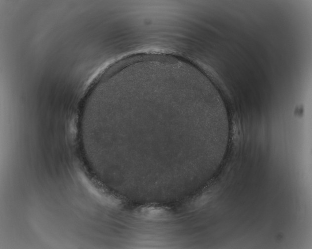 X0000116120208200912211701