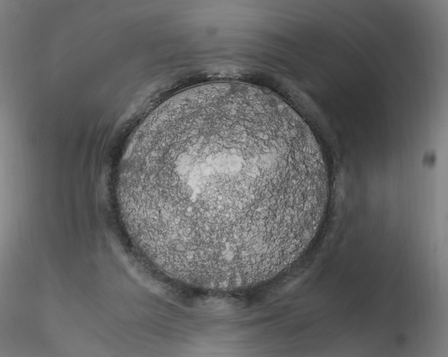 X0000116120209200912211701
