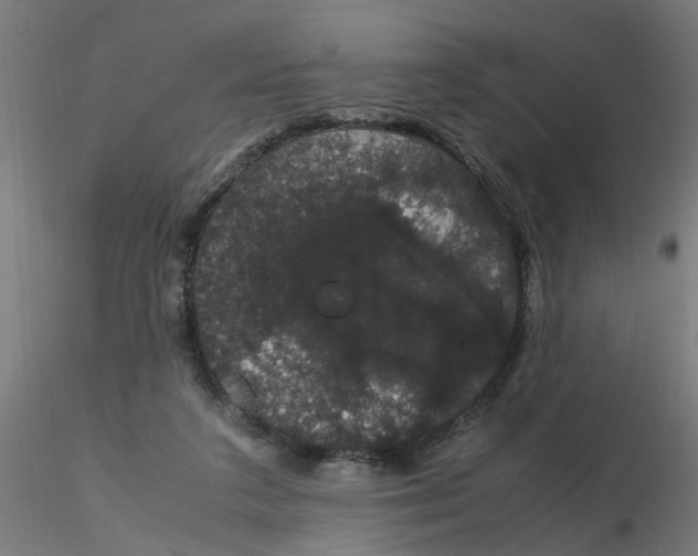 X0000116120211200912211701