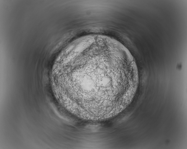 X0000116120213200912211701