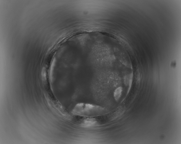 X0000116120214200912211701