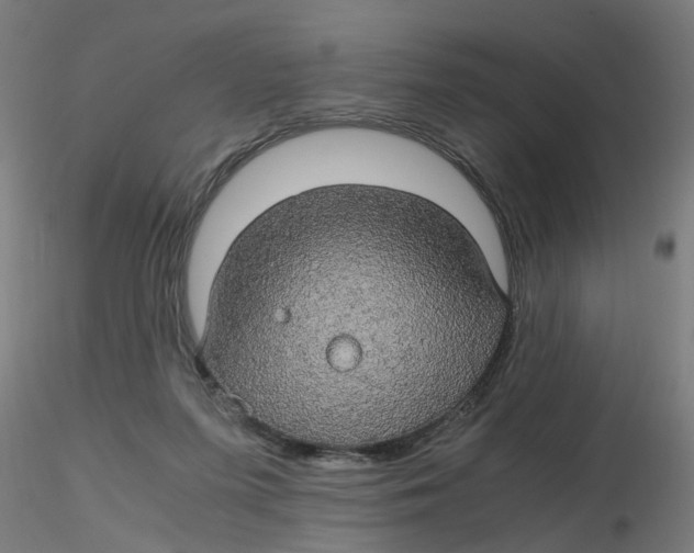 X0000116120215200912211701