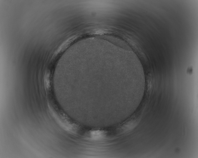 X0000116120216200912211701