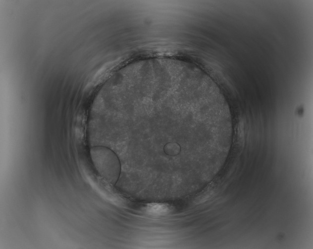 X0000116120218200912211701